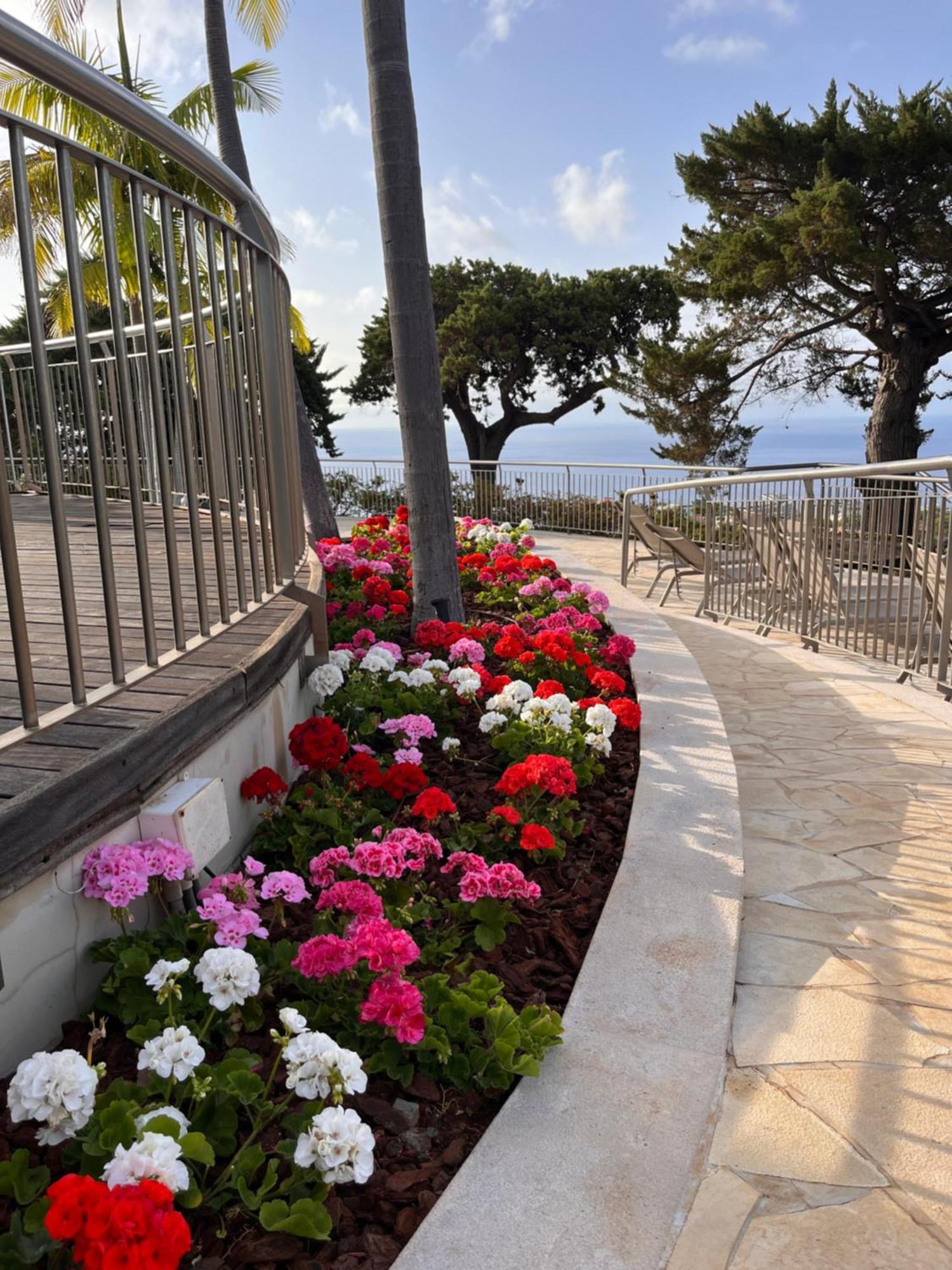 Quinta Funchal Gardens - Adults Only Hotel Kültér fotó